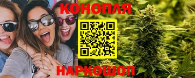 стафф Краснознаменск