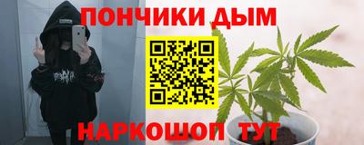 стафф Краснознаменск