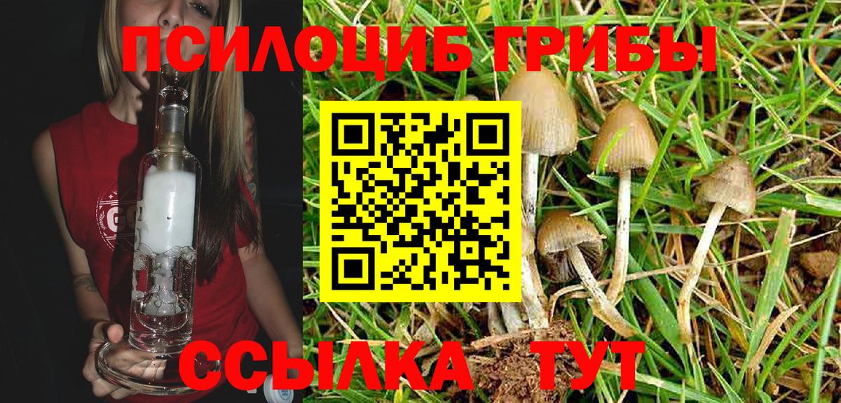 Галлюциногенные грибы Cubensis Тверь
