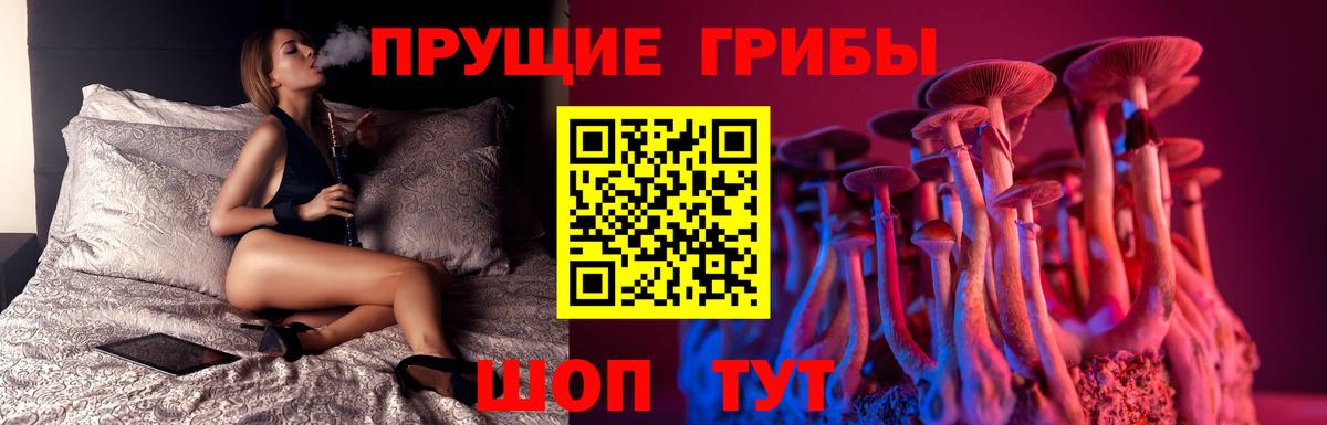 Галлюциногенные грибы Psilocybe  закладки  Тверь  Вход с VPN  Псилоцибиновые грибы Psilocybine cubensis 